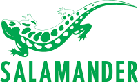Stock Salamander à Strasbourg