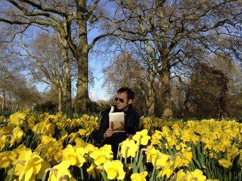 Jérôme Attal : Les jonquilles de Green Park 841-02899387t.jpg