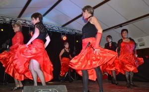 Huguette vous parle des Darnaguettes DSC_4346