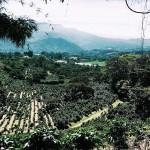 EVASION : 8 hotspots au PANAMA