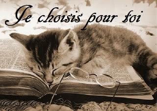 Je choisis pour toi #21 Je choisis pour toi #21