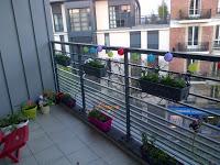 1329. Avril en images 1329. Avril en images