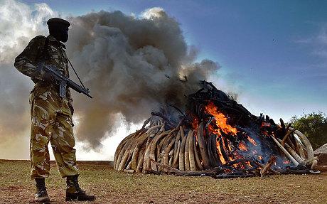 Couilles Kenyennes Couilles Kenyennes