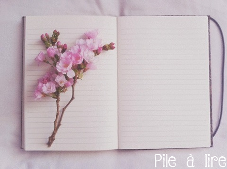 Pile à lire du mois de Mai 2016 #7 Pile à lire du mois de Mai 2016 #7