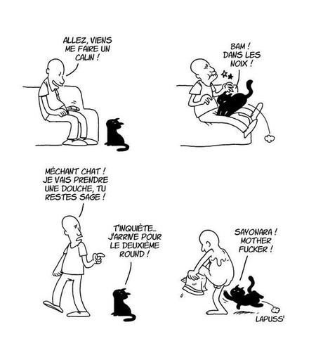« Putain de Chat ». La vérité sur les chats enfin révélée PutainDeChat4