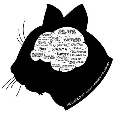 « Putain de Chat ». La vérité sur les chats enfin révélée putaindechat1