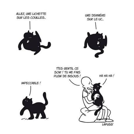 « Putain de Chat ». La vérité sur les chats enfin révélée PutainDeChat2