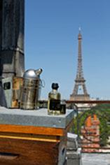Découvrez l’Apiculteur* qui élabore le 1er Hydromel de Paris ! 9