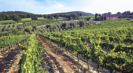 Arpentez les routes des vins de France et d'Europe des vins