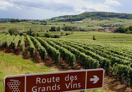Arpentez les routes des vins de France et d'Europe des vins