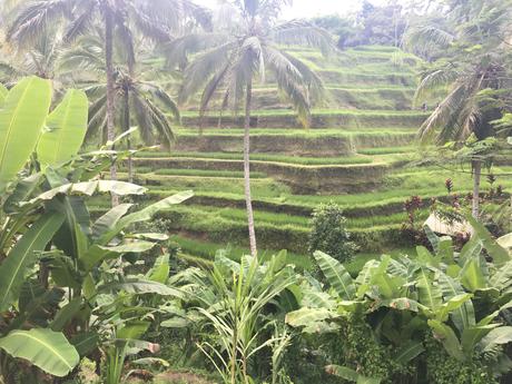 Vidéo venez avec moi découvrir des endroits magnifiques ! Vidéo venez avec moi découvrir des endroits magnifiques !