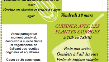 Retour en photos cours de cuisine Bio Grenoble Naturopathe Uriage  Grenoble