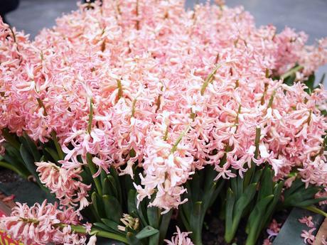 Deux Jours à Bruxelles Deux Jours à Bruxelles