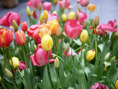 Deux Jours à Bruxelles Deux Jours à Bruxelles