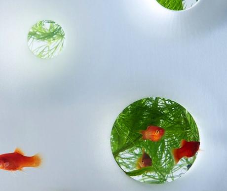 DESIGN : Les aquariums de Haruka Misawa haruka-misawa-waterscape-fish-aquariums-07-818x690-768x648
