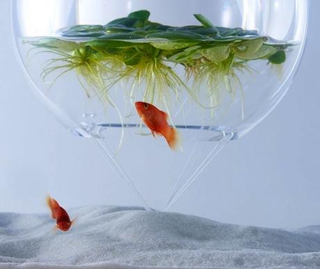 DESIGN : Les aquariums de Haruka Misawa haruka-misawa-waterscape-fish-aquariums-09-818x690-768x648