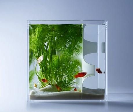 DESIGN : Les aquariums de Haruka Misawa haruka-misawa-waterscape-fish-aquariums-02-818x690-768x648