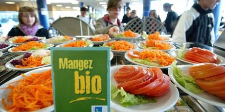 La Rochelle : une plateforme numérique pour relier cantines et petits producteurs La Rochelle : une plateforme numérique pour relier cantines et petits producteurs