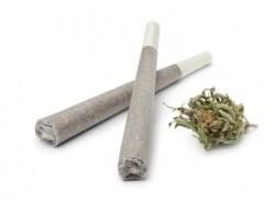 DÉPÉNALISATION DU CANNABIS: L'Académie de Pharmacie dit NON – Académie nationale de Pharmacie DÉPÉNALISATION DU CANNABIS: L'Académie de Pharmacie dit NON – Académie nationale de Pharmacie