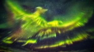 phenix-aurore-boreale-0
