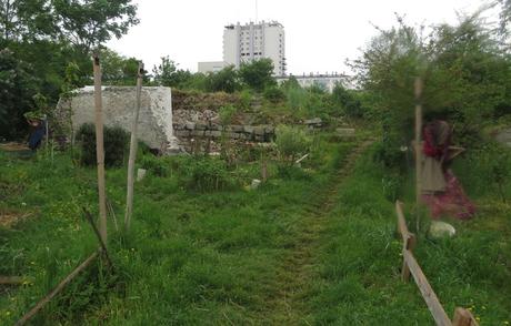Le site des murs à pêches de Montreuil : une oasis au pieds des tours de béton.