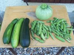 Notre intelligence et notre comportement dépendent de ce que nous mangeons Notre intelligence et notre comportement dépendent de ce que nous mangeons