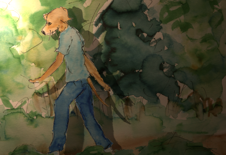 541) Zone dombre 541) Zone dombre