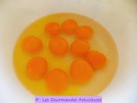 Tortilla au Chénopode Bon-Henri, à l'origan et aux vermicelles (L'Art d'accommoder les restes) Tortilla au Chénopode Bon-Henri, à l'origan et aux vermicelles (L'Art d'accommoder les restes)