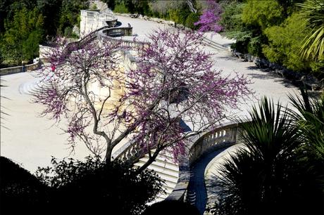 Jardins de la Fontaine, Nîmes, Jardins, printemps, Parcs, plantes, arbres, fleurs, Languedoc, Gard