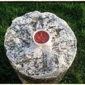 Les fraises Compote pomme fraise au thermomix - La cuisine de poupoule