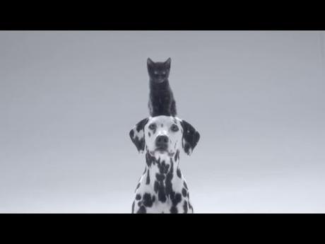 Cancer de la peau : devenez Skin Checker Image de prévisualisation YouTube