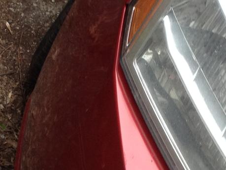 BlueToad_WebSeries: Autoréalité IMG_5140