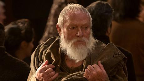 Ces acteurs vus dans Game Of Thrones, Doctor Who et Harry Potter Ici avec une barbe