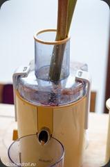 Limonade_Rhubarbe_Pomme-2 Limonade_Rhubarbe_Pomme-2