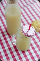 Limonade_Rhubarbe_Pomme-22 Limonade_Rhubarbe_Pomme-22