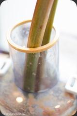 Limonade_Rhubarbe_Pomme-5 Limonade_Rhubarbe_Pomme-5