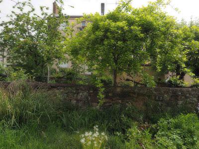 C'est l'histoire d'un verger C'est l'histoire d'un verger