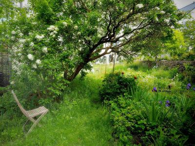 C'est l'histoire d'un verger C'est l'histoire d'un verger