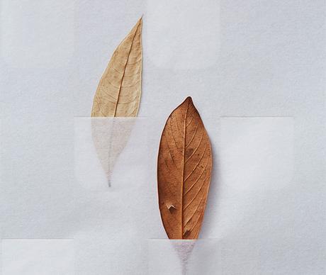 Les subtils paper art et design de Haruka Misawa Subtle paper art and design by Haruka Misawa