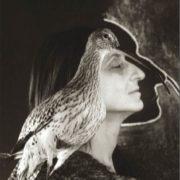 Exposition « La Mélancolie des oiseaux » Marie Frécon Muséum d’histoire naturelle | Gaillac