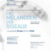 Exposition « La Mélancolie des oiseaux » Marie Frécon Muséum d’histoire naturelle | Gaillac