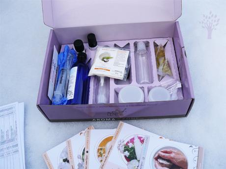 maquillage bio faire soi meme Les recettes naturelles de Nilou Crèmes, baumes et autres potions maison