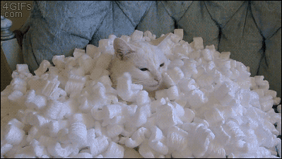 Le tricot en gif : le tricot vu par les chats tumblr_inline_o33taeQND11reewg0_500