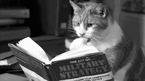 Le tricot en gif : le tricot vu par les chats chat livre