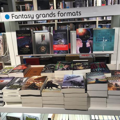 Envie #191 : Voir mon roman “Le jour et la nuit” sur les étagères de la FNAC le jour et la nuit laetitia langlet FNAC