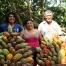 Une famille de producteurs de cacao au Pérou pour la marque Alter Eco qui propose toute une gamme de chocolats bio équitables.