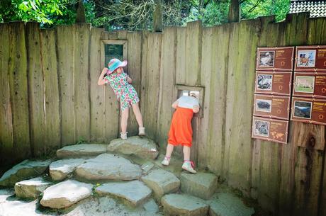 Et pourquoi pas le Zoo de Planckendael ? le zoo de planckendael en famille