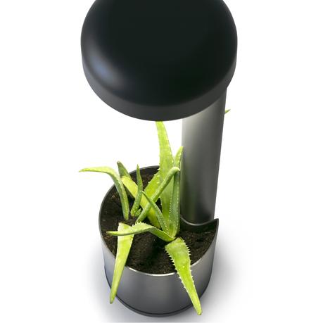 Luminaire Extérieur – Décoration pour le jardin Luminaire Extérieur – Décoration pour le jardin