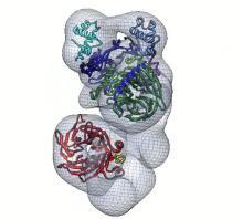 #trendsincellbiology #protéinesPcG #polycomb Régulation de l’architecture et de la fonction génomiques par les protéines du groupe Polycomb