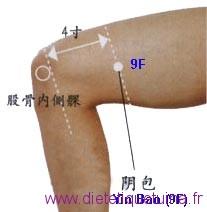 Le point Yin Bao du méridien du foie (9F)